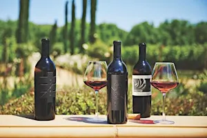 Mizel Estate Wines - Wine Tasting in the Vineyard