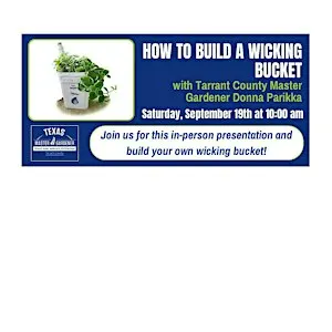 HOW TO BUILD A WICKING BUCKET