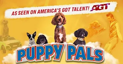 Puppy Pals LIVE - Let's Party!