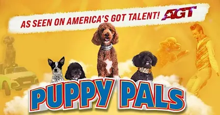 Puppy Pals LIVE - Let's Party!