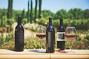 Mizel Estate Wines - Wine Tasting in the Vineyard