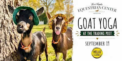 Goat Yoga at the LA Equestrian Center in Burbank