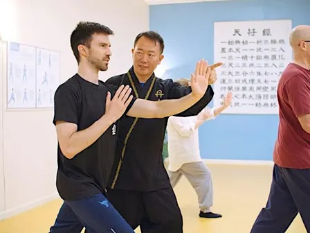Free Body&Brain QiGong; The Art of Energy Balancing