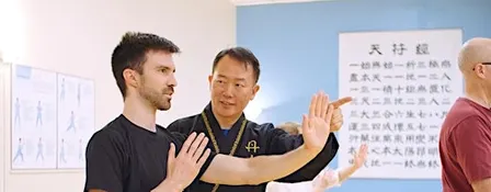 Free Body&Brain QiGong; The Art of Energy Balancing