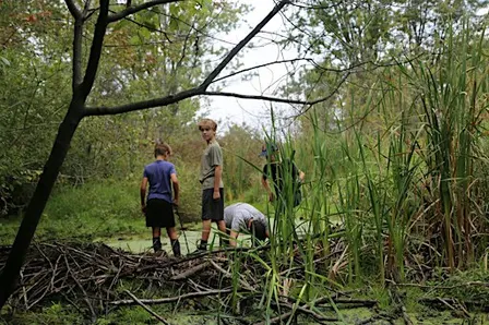 PA Day Nature Camp - Nature's Engineers