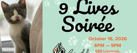 9 Lives Soirée