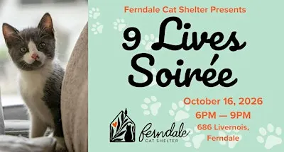 9 Lives Soirée