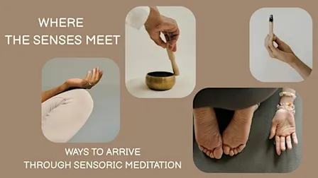 WHERE SENSES MEET