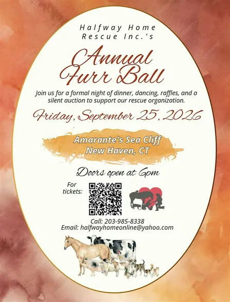 Annual Furr Ball