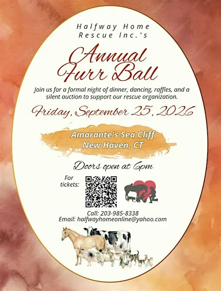 Annual Furr Ball
