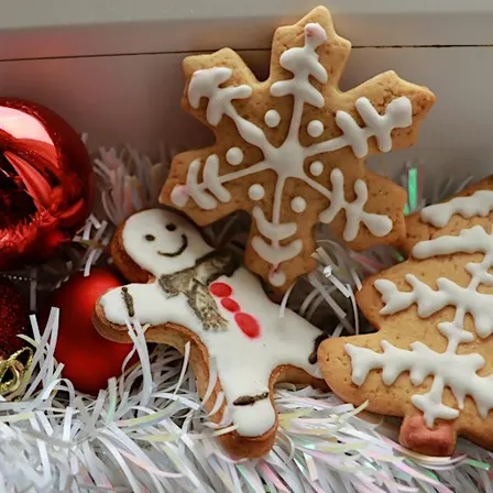 Mini Makers Club December Meet Up
