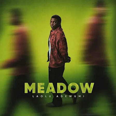 LAOLU ADEWUMI - MEADOW EP LISTENING PARTY