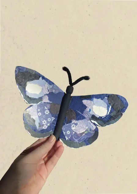 October school holiday program: Collage Pollinators