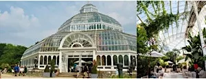 Sefton Park Palm House Guided Tour