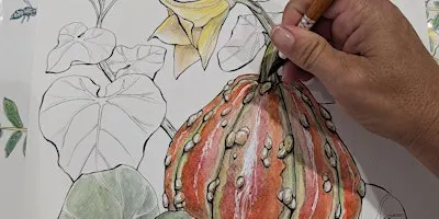 Watercolor Meets Botany- Ornamental Pumpkins- Beginner Watercolor