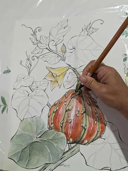 Watercolor Meets Botany- Ornamental Pumpkins- Beginner Watercolor
