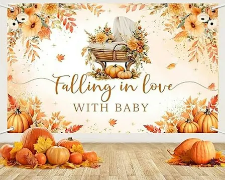 Triad Area Community Baby Shower / Maternity Fair