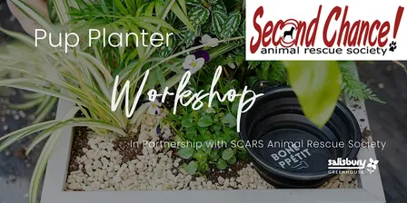 DIY Pup Planter | Workshop | Sherwood Park