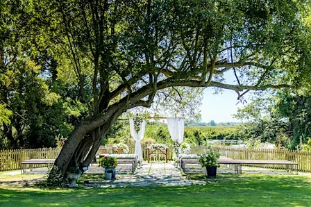 Sopley Mill Open Viewing Day
