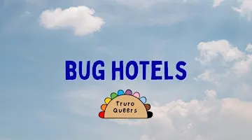 Wellbeing Sessions: Bug Hotel