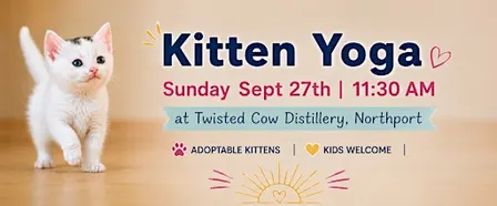 Kitten Yoga at Twisted Cow Distillery