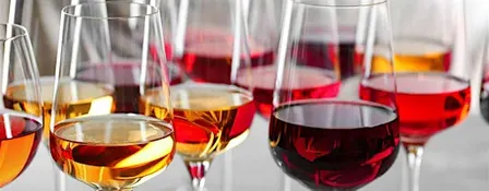 An Evening with Leon Femfert of Nittardi Winery - Wine Tasting Class