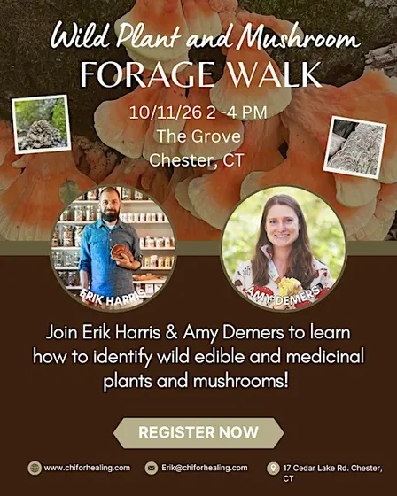 Forage walk-learn about fall wild, edible, and medicinal plants & mushrooms