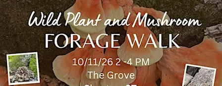 Forage walk-learn about fall wild, edible, and medicinal plants & mushrooms