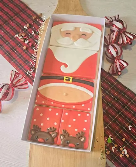 Santa Cookie Decorating for Beginners 2pm-4pm