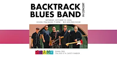 Backtrack Blues Band In Concert