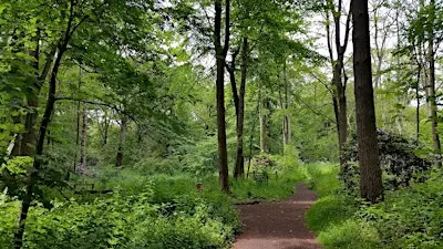 Guided Walk: Discover the Hidden Histories of Moorlands
