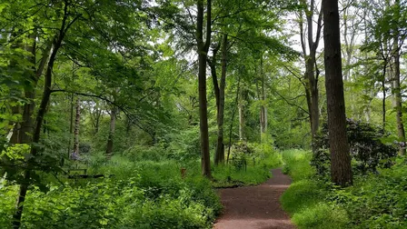 Guided Walk: Discover the Hidden Histories of Moorlands