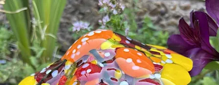 Fungi Fest - Fired Fusion Toadstool Class