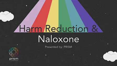 Harm Reduction & Naloxone Training