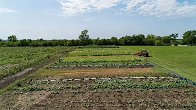 Mary Jane Cooks at Middlebrook Farmhouse Fall Class