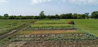Mary Jane Cooks at Middlebrook Farmhouse Fall Class