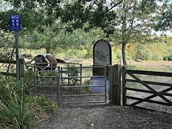 Stanmore wildlife walk and sound bath