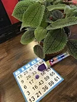 Chelle's Pours & Plant Bingo