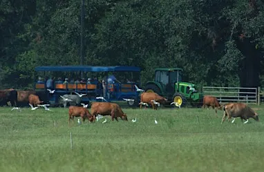 2026 Santa Rosa County Farm Tour