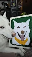 Punch Needle Pet Portraits