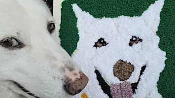 Punch Needle Pet Portraits