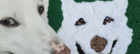 Punch Needle Pet Portraits