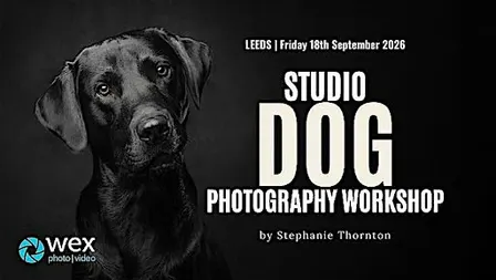 Wex Workshops: Studio Dog Photography with Stephanie Thornton | Leeds