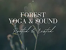 Yoga & Sound Bath in the Wyre Forest