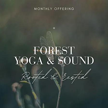 Yoga & Sound Bath in the Wyre Forest