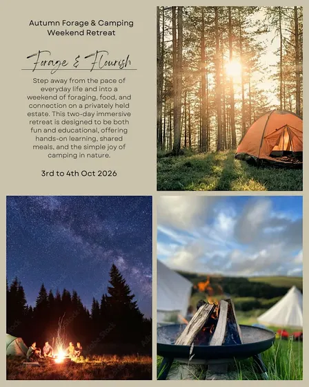 3rd to 4th Oct 2026: Autumn Forage & Camping Weekend Retreat