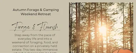 3rd to 4th Oct 2026: Autumn Forage & Camping Weekend Retreat