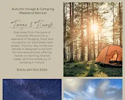 3rd to 4th Oct 2026: Autumn Forage & Camping Weekend Retreat