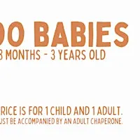 10/22 Zoo Babies: Bugs
