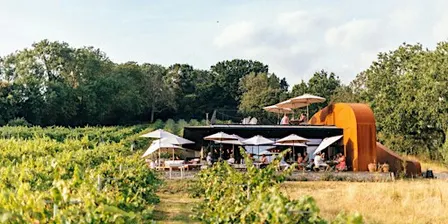 Wraxall Vineyard Harvest Festival Weekend: SATURDAY TICKET